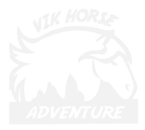 Vík Horse Adventure